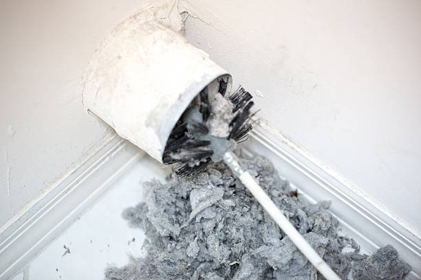 Best Dryer Vent Cleaning Services  in Burnt Mills, MD